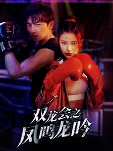 双龙会之凤鸣龙吟 第21-40集