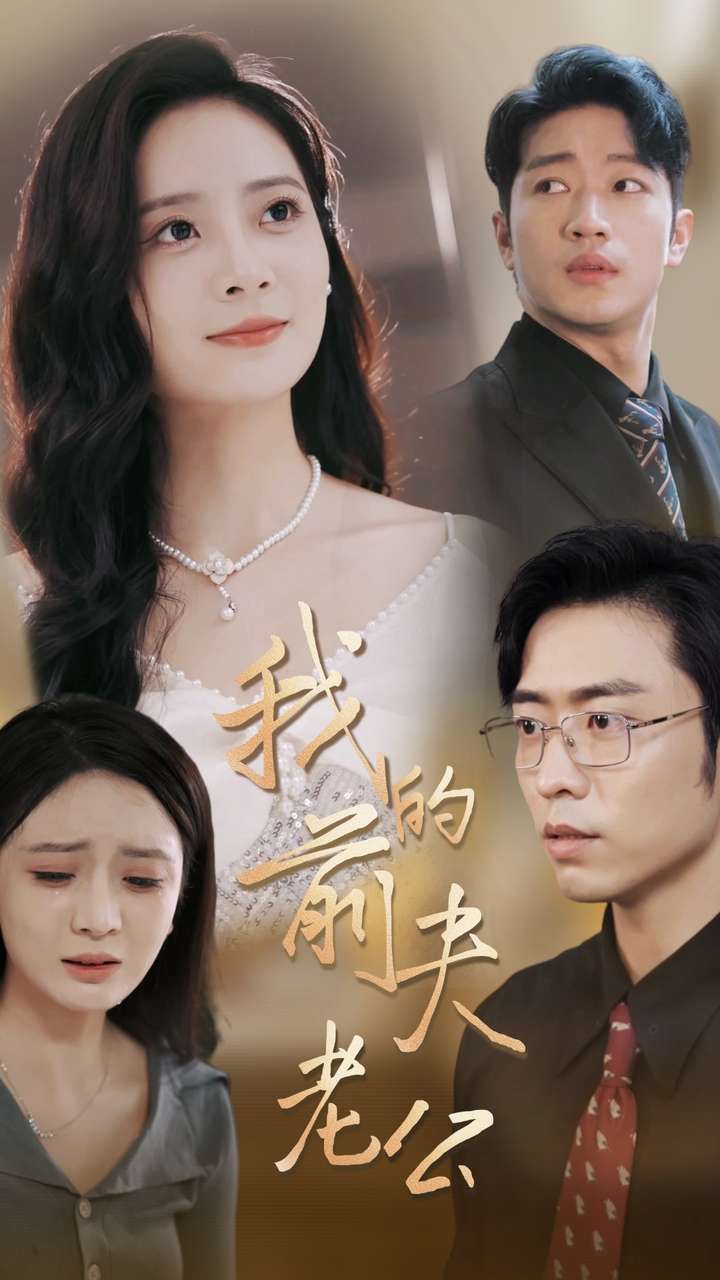 我的前夫老公 第04集