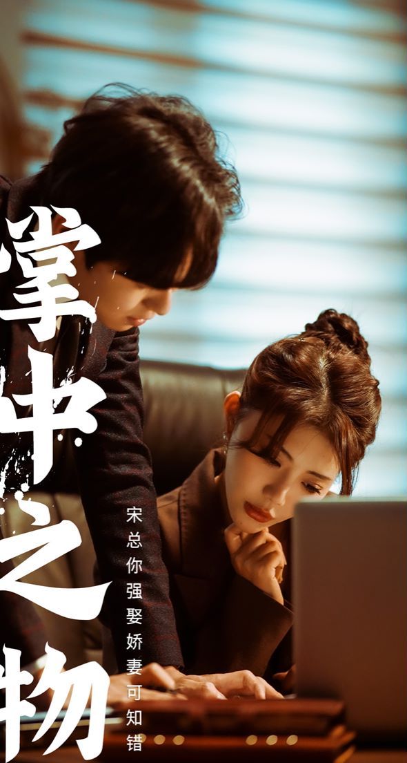 掌中之物：宋总娶娇妻可知错 第81-97集完结(大结局)