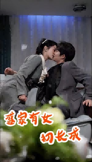 盛家有女初长成 第61-84集完结(大结局)