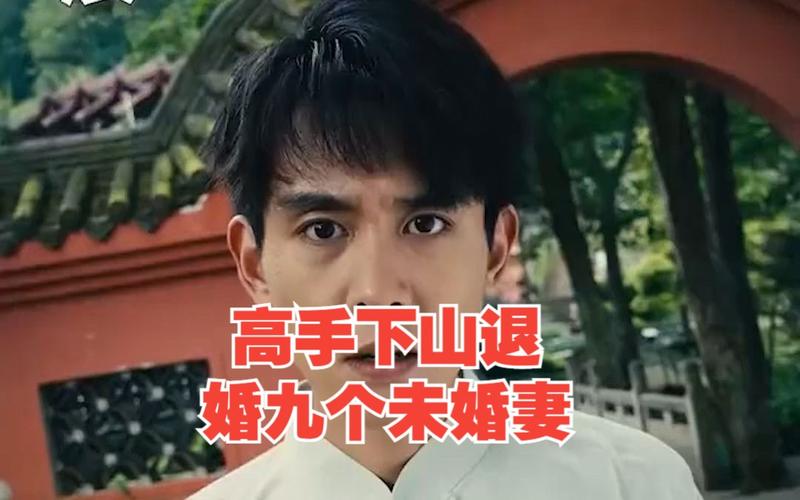 高手下山退婚九个未婚妻 第41-60集