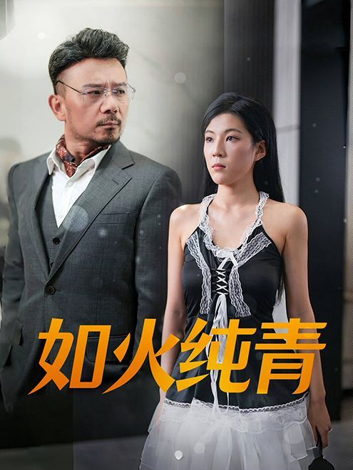 如火纯青 第1-20集
