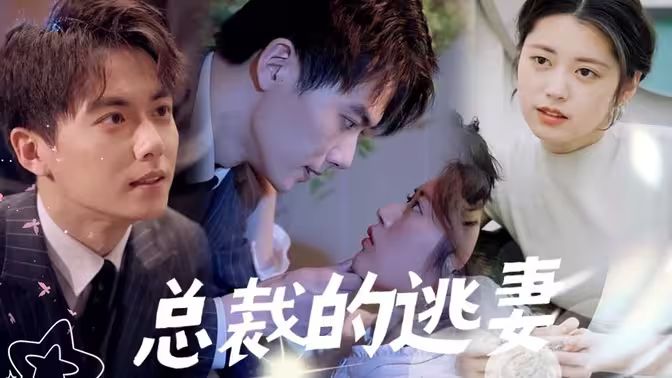 总裁的逃妻 第41-60集