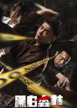 黑白森林 第03集