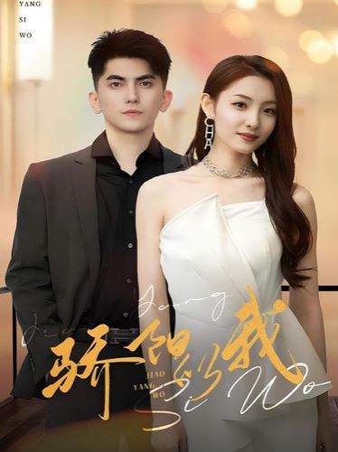 骄阳似我 第21-40集