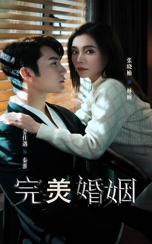 完美婚姻 第21-40集