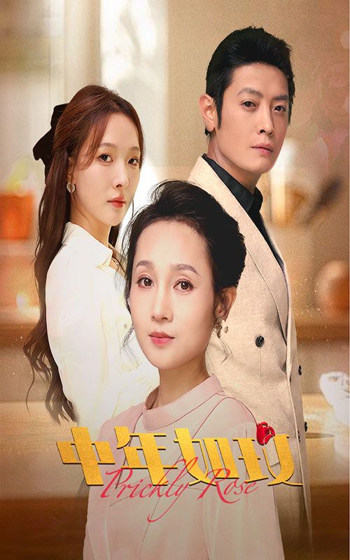 中年如玫 第1-20集