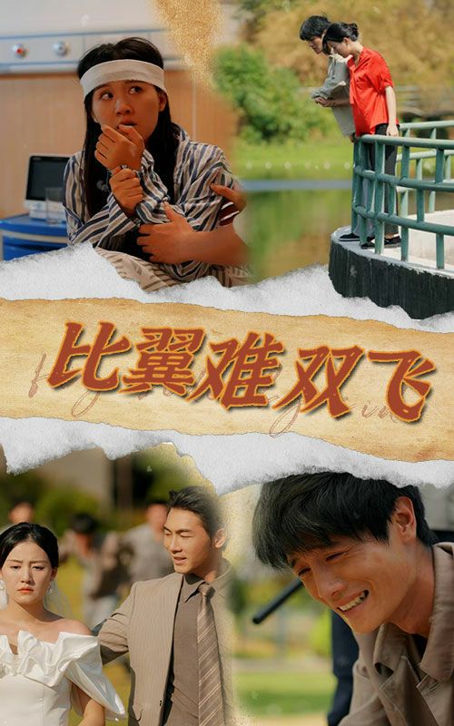 比翼难双飞 全集完结(大结局)