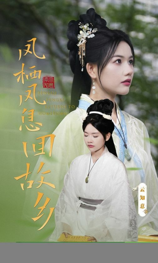 凤栖凤息回故乡 第21-36集完结(大结局)