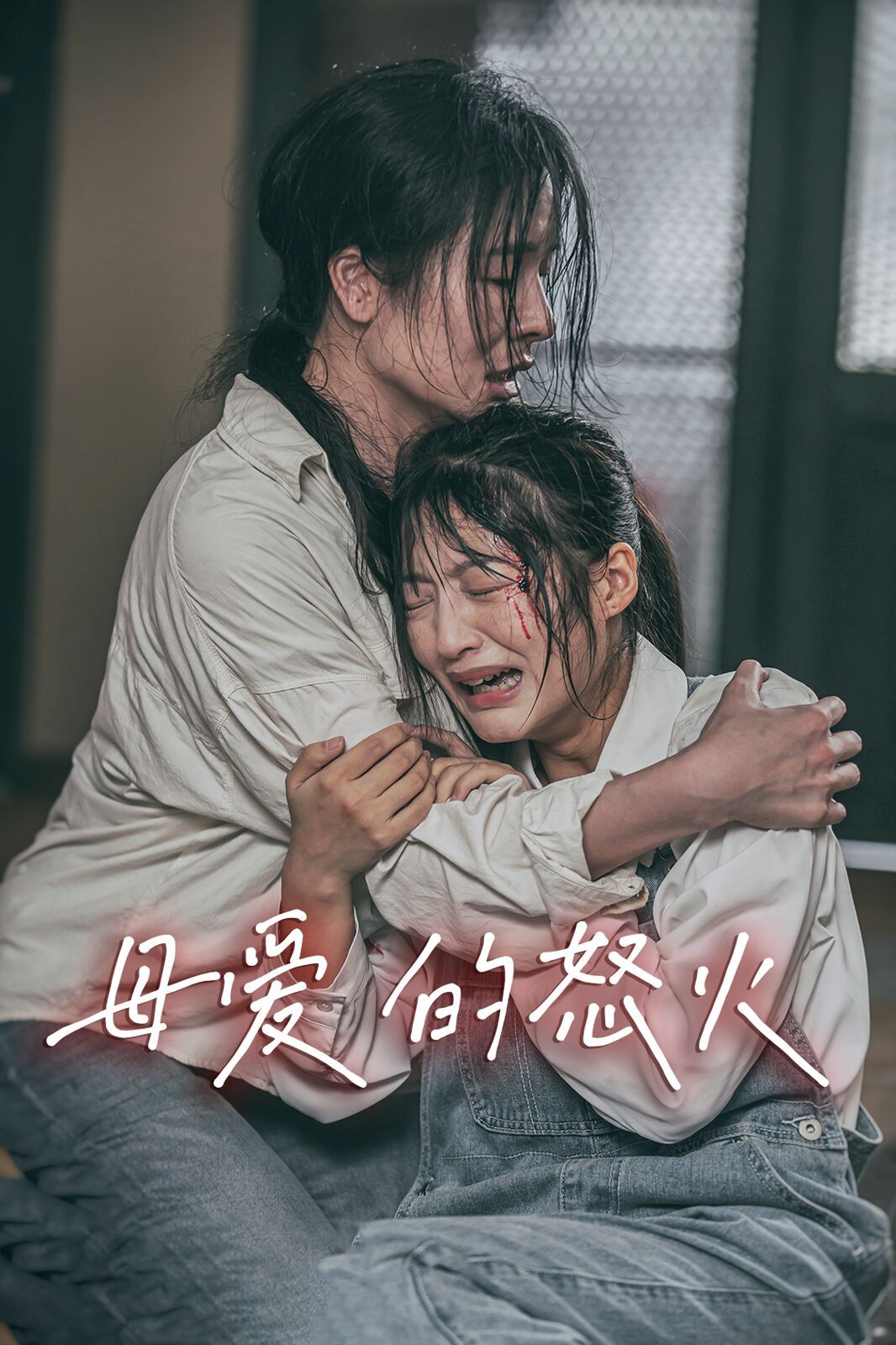 母爱的怒火 第1-28集完结(大结局)