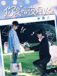 你是暗夜星火 第110集