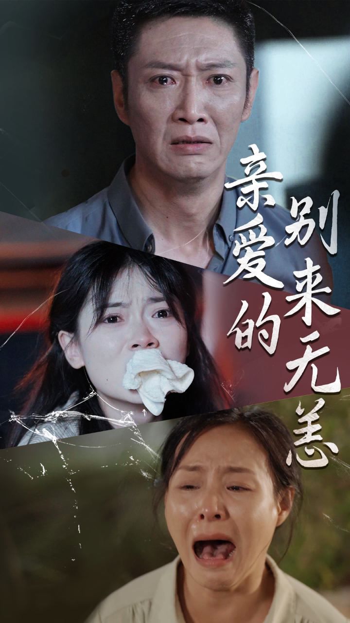 亲爱的别来无恙 第12集