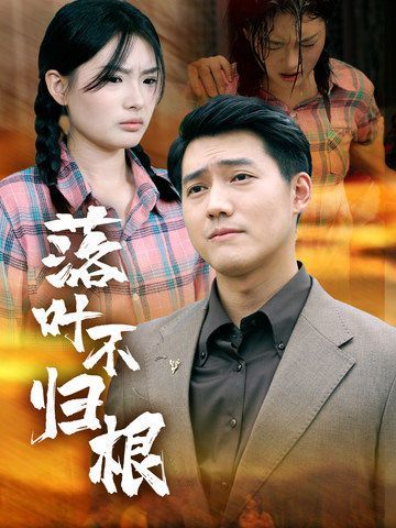 落叶不归根 第21-40集