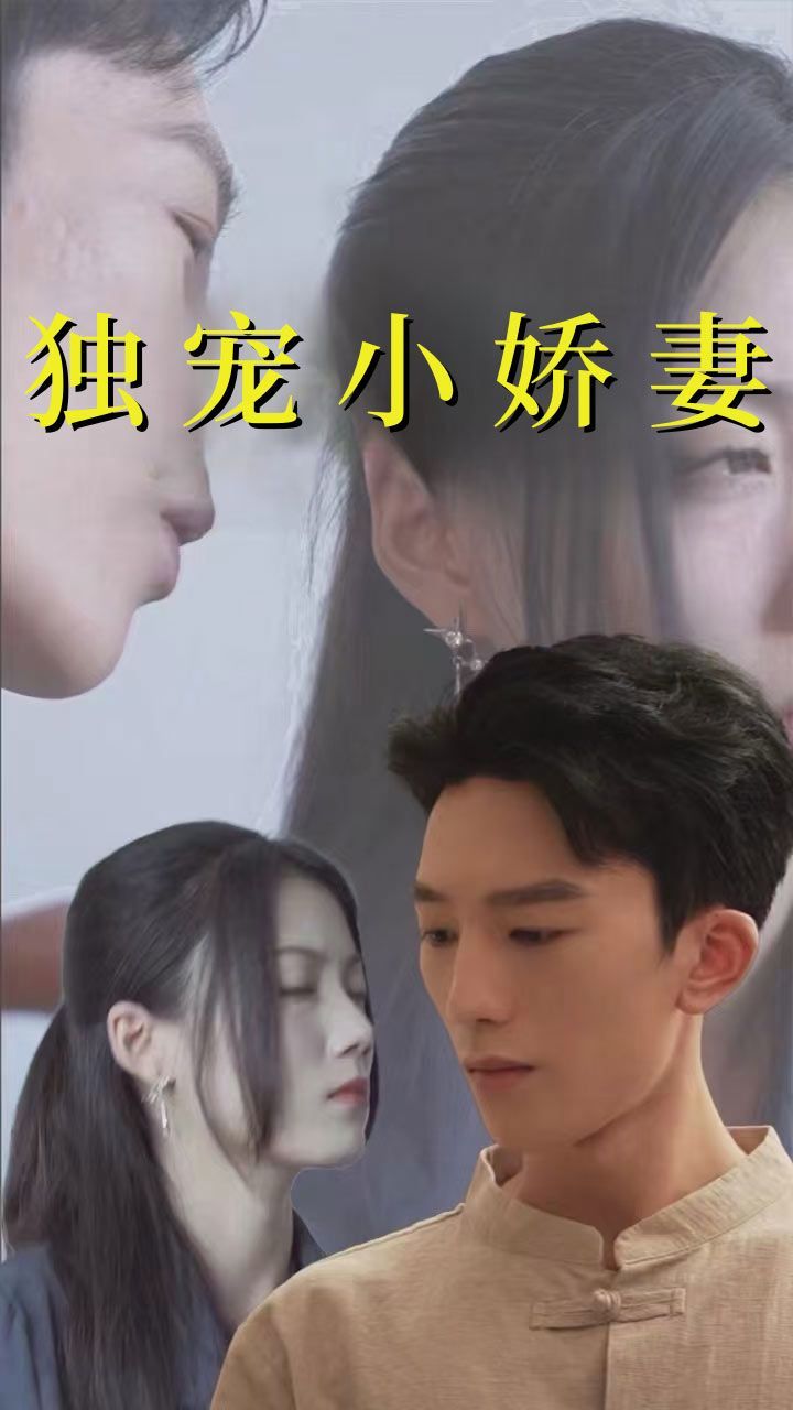 独宠小娇妻 第81-101集完结(大结局)