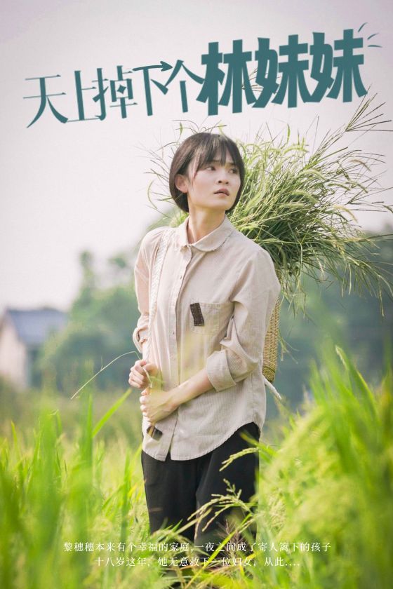 天上掉下个林妹妹 第41-60集