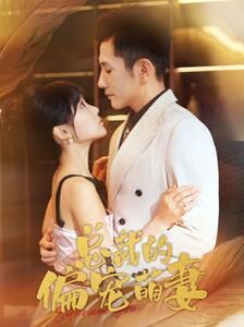 总裁的偏宠萌妻 第1-20集