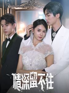 情深留不住 第1-20集