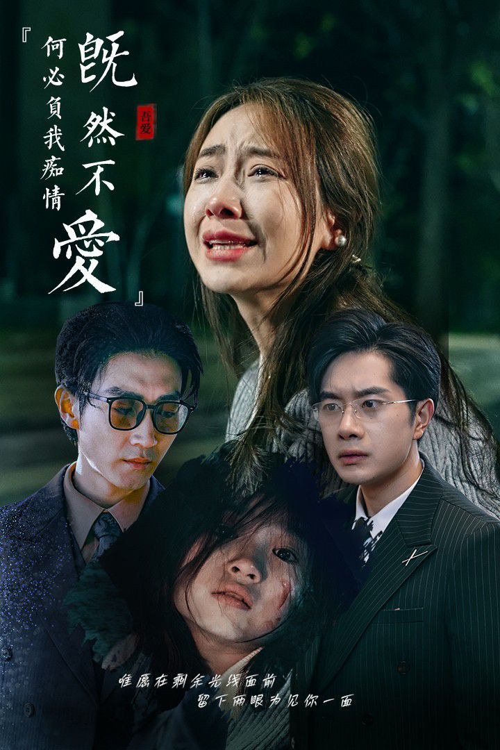 既然不爱何必负我痴情 第21-40集