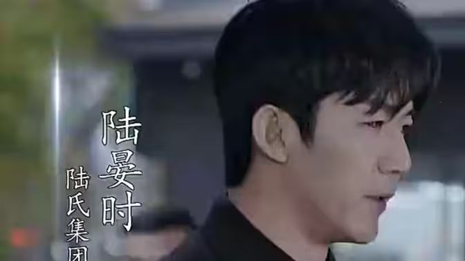 抢婚！陆总蓄谋已久 第31-60集