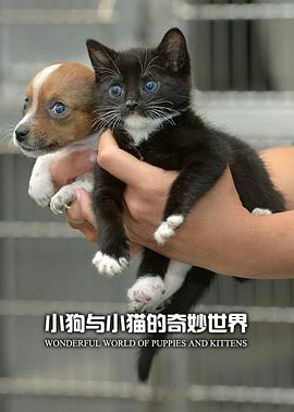 小狗与小猫的奇妙世界 第01集
