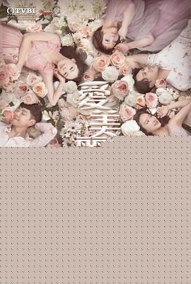 爱美丽狂想曲国语