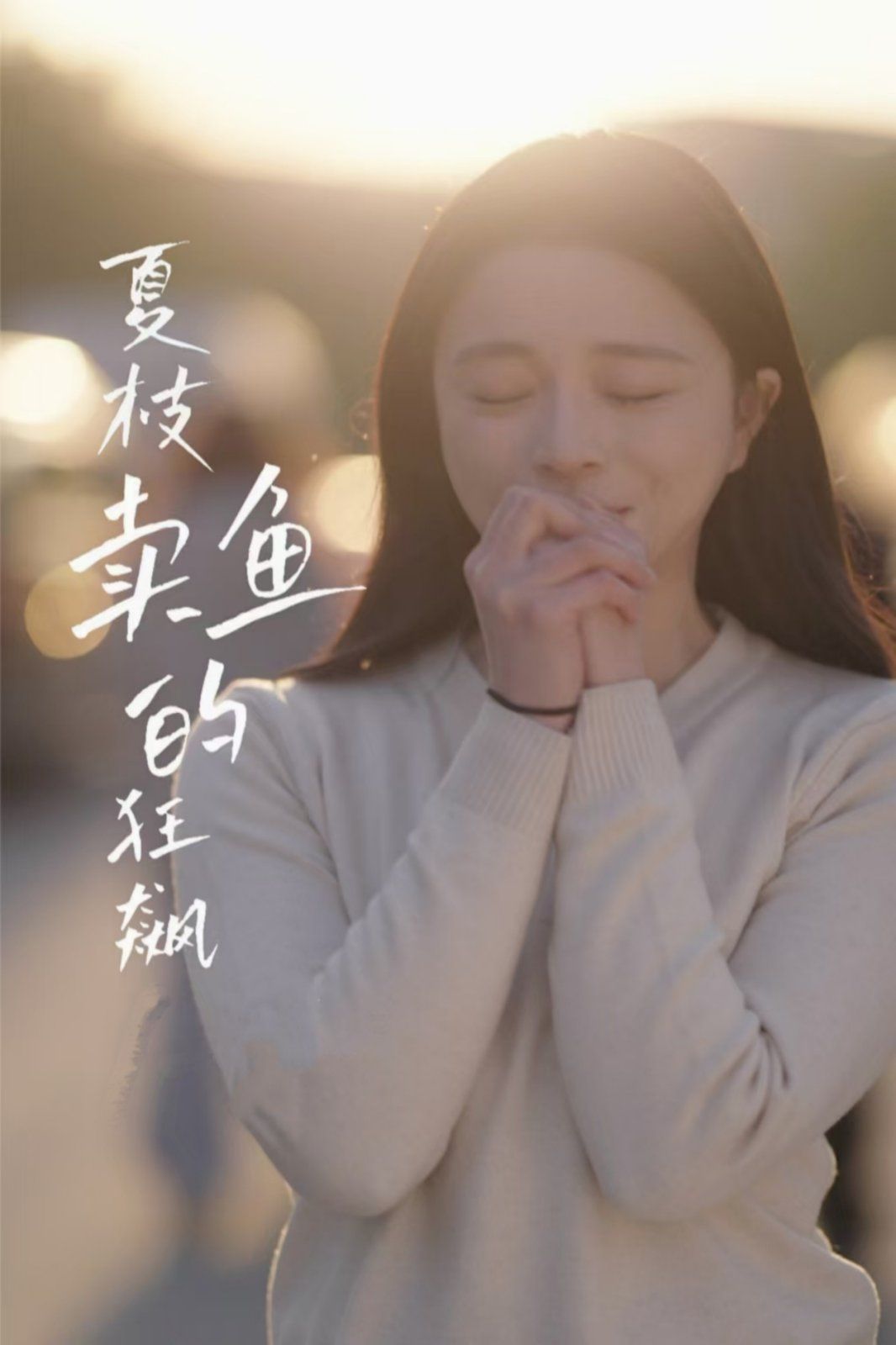 夏枝卖鱼的狂飙 第31-60集完结(大结局)