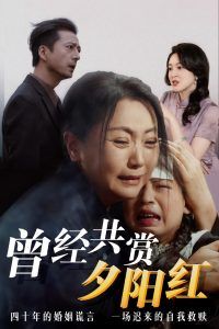 曾经共赏夕阳红 第41-60集完结(大结局)