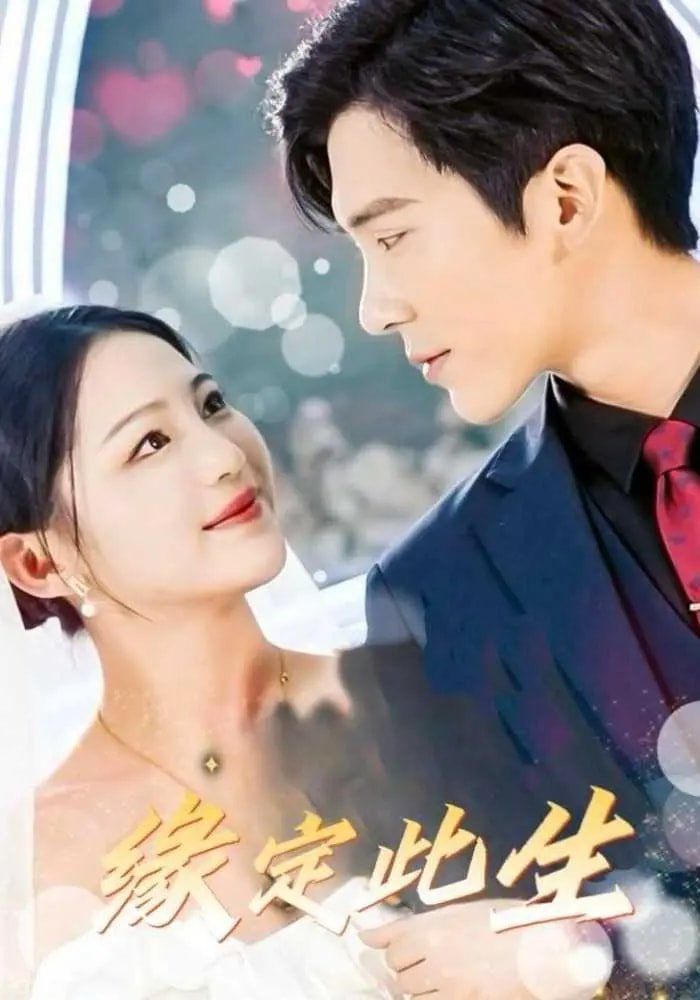 缘定此生 第31-60集