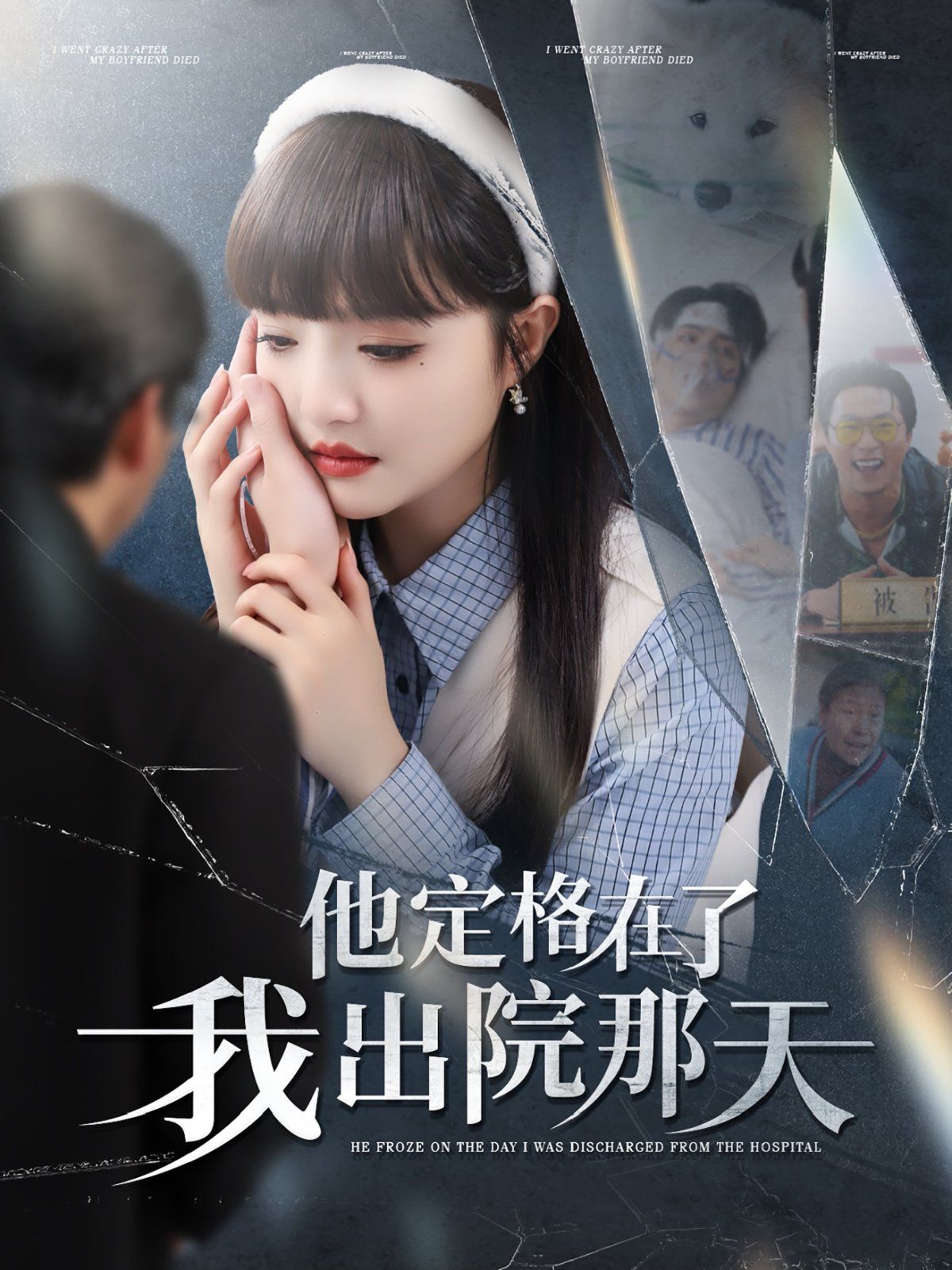 他定格在了我出院那天 第26-55集