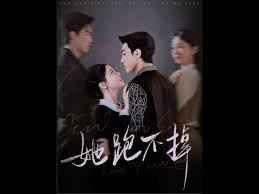 她跑不掉 第1-20集